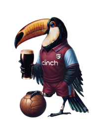 Aston Villa ToucanBru T-Shirt