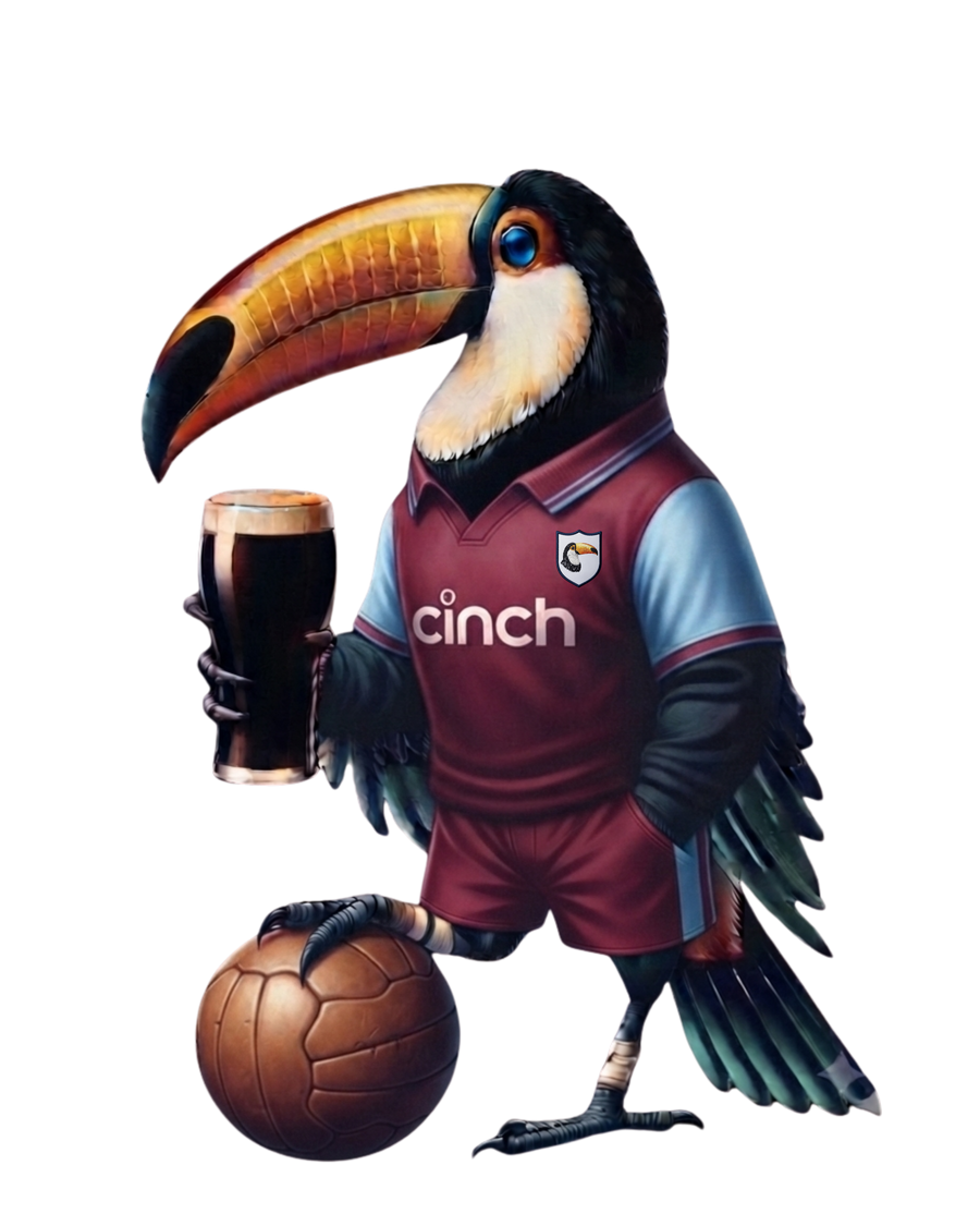 Aston Villa ToucanBru T-Shirt