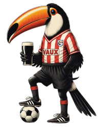 Sunderland Football T-Shirt