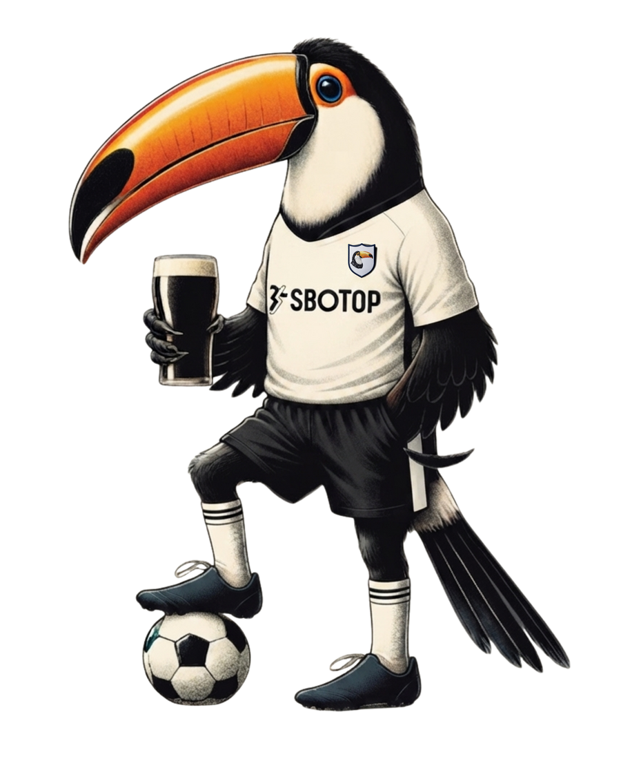Fulham Football T-Shirt