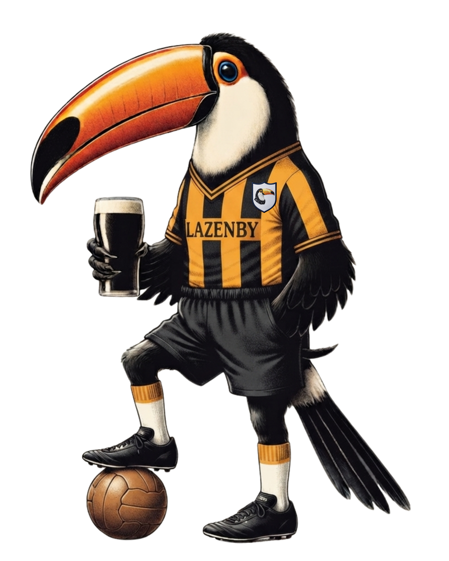 Hull City Football T-Shirt